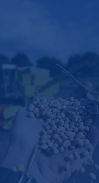 ÉQUIPEMENTS DE TRAITEMENT DES MATIÈRES PREMIÈRES