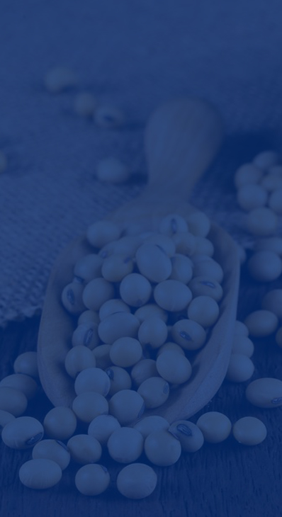 HUILE DE SOJA POUR LES MATIÈRES PREMIÈRES