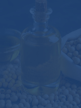 Ligne de production d'huile de soja