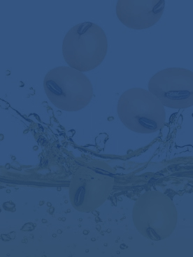 Usine de traitement d'huile de soja