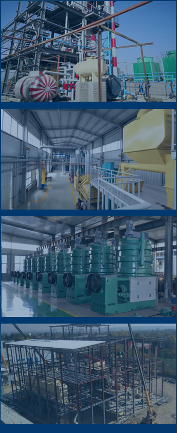 cas de l'huile de soja dans le monde