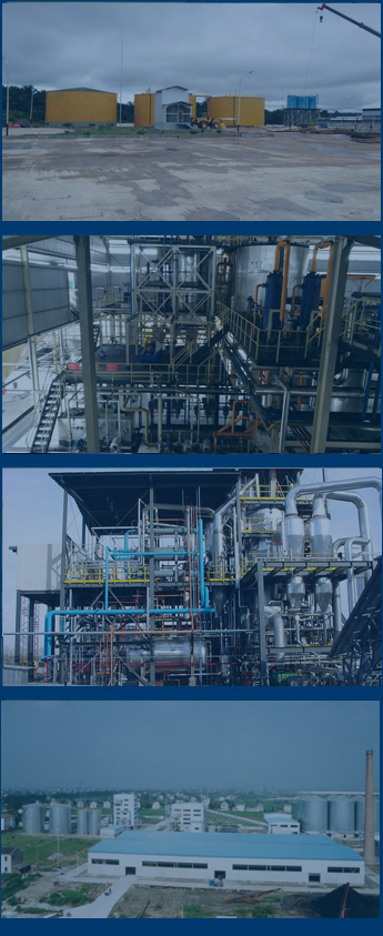 cas de l'huile de soja dans le monde