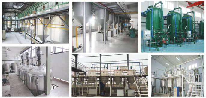 Solutions durables et efficaces de raffinage de l’huile de soja