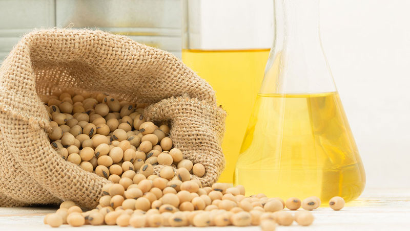 Guide des prix des machines d&rsquo;extraction d&rsquo;huile de soja